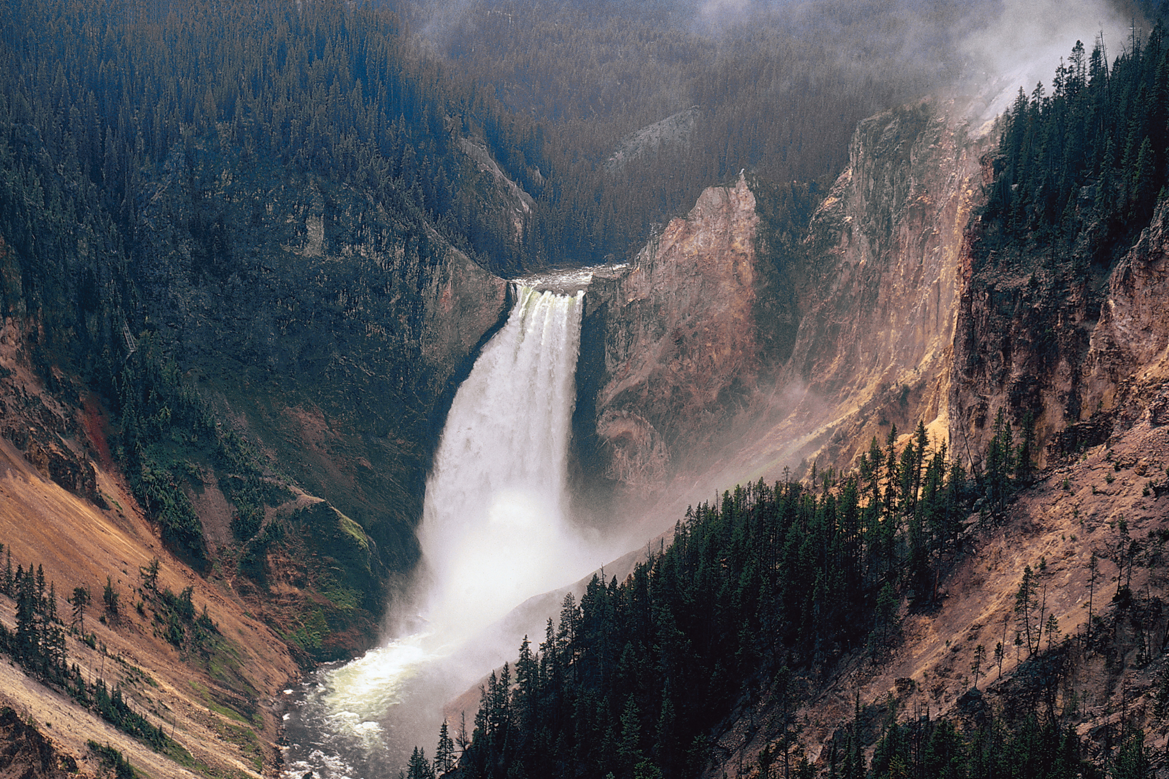 yellowstone national park, wyoming.webp
